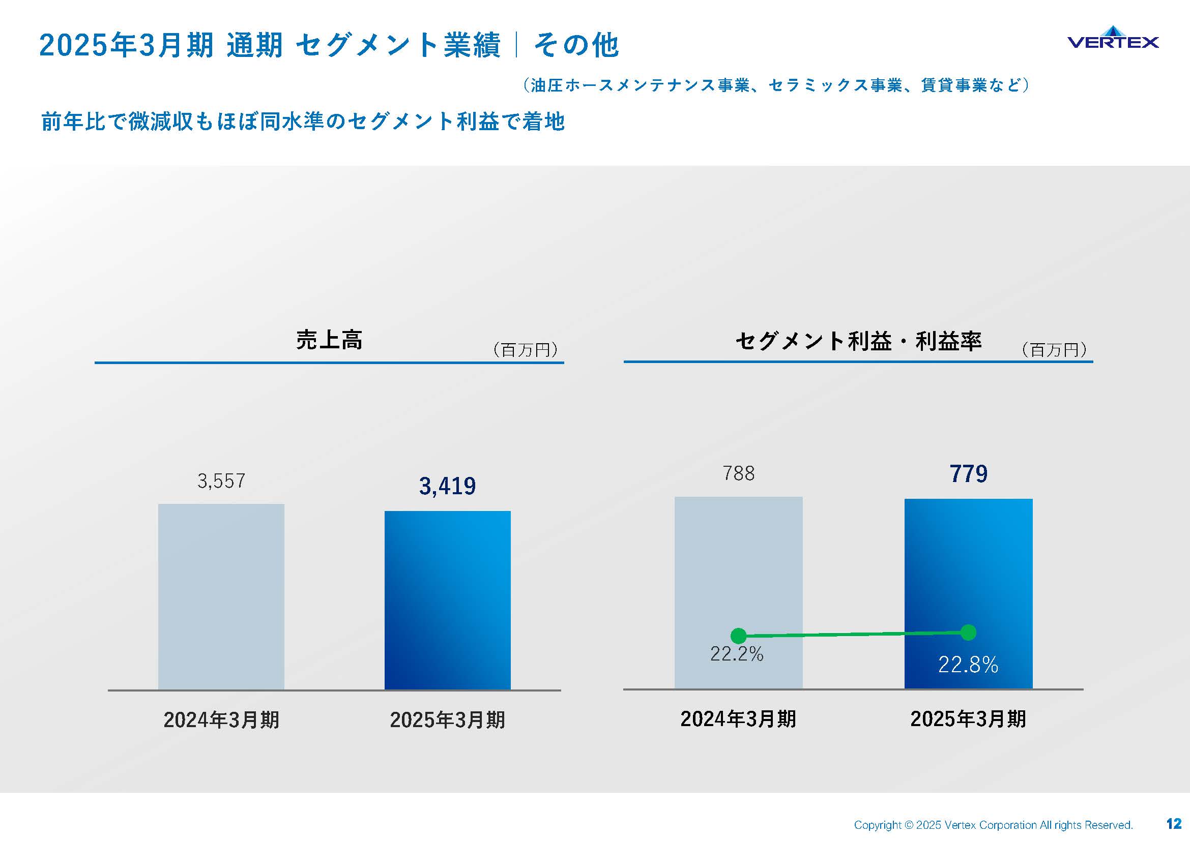 2025年3月期 通期決算説明資料の画像12